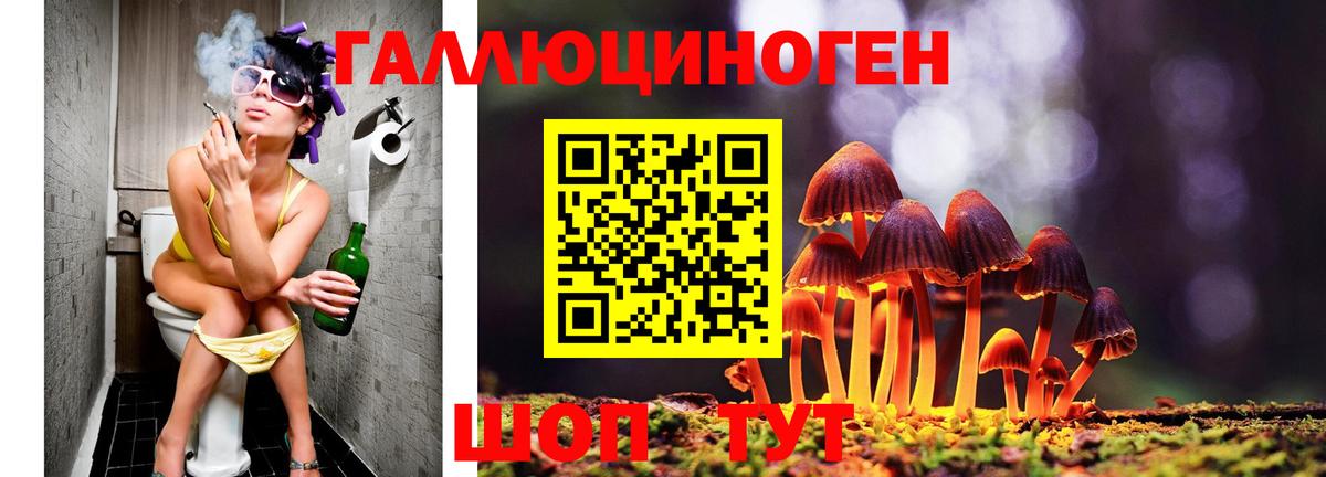 Галлюциногенные грибы прущие грибы Красноярск